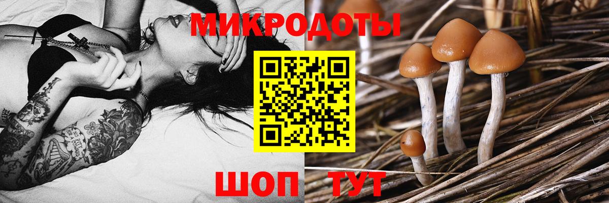 Курск  как найти закладки  Вход с VPN  Псилоцибиновые грибы Magic Shrooms 
